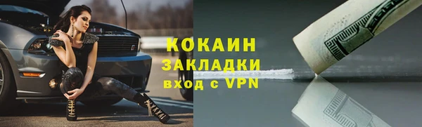 твердый Касимов