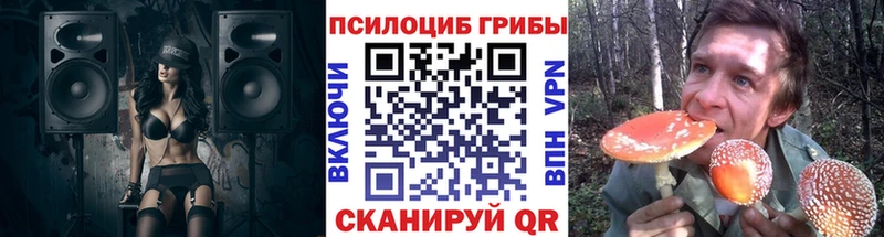Псилоцибиновые грибы Cubensis  Петухово 